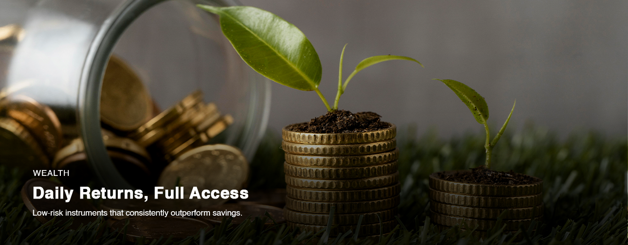 AVA GAM Money Market Fund - Asset Management