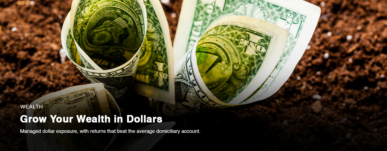 AVA GAM Dollar Fund - Asset Management